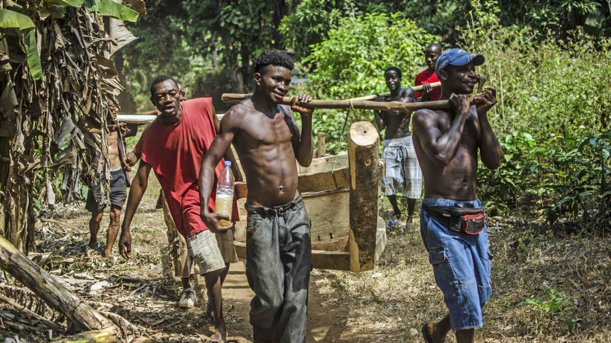 Sierra Leona descubre un filón con la captura de pepino de mar