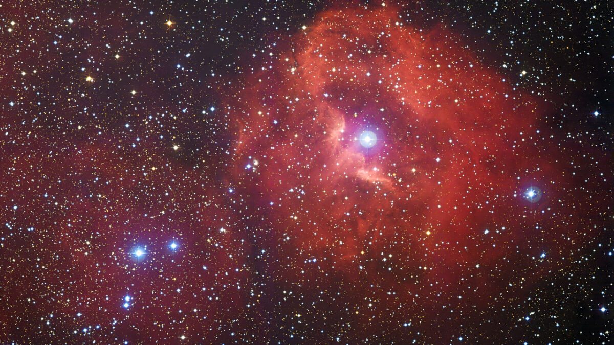 La nube de hidrógeno llamada Gum 41 es el hogar de muchas nebulosas brillantes