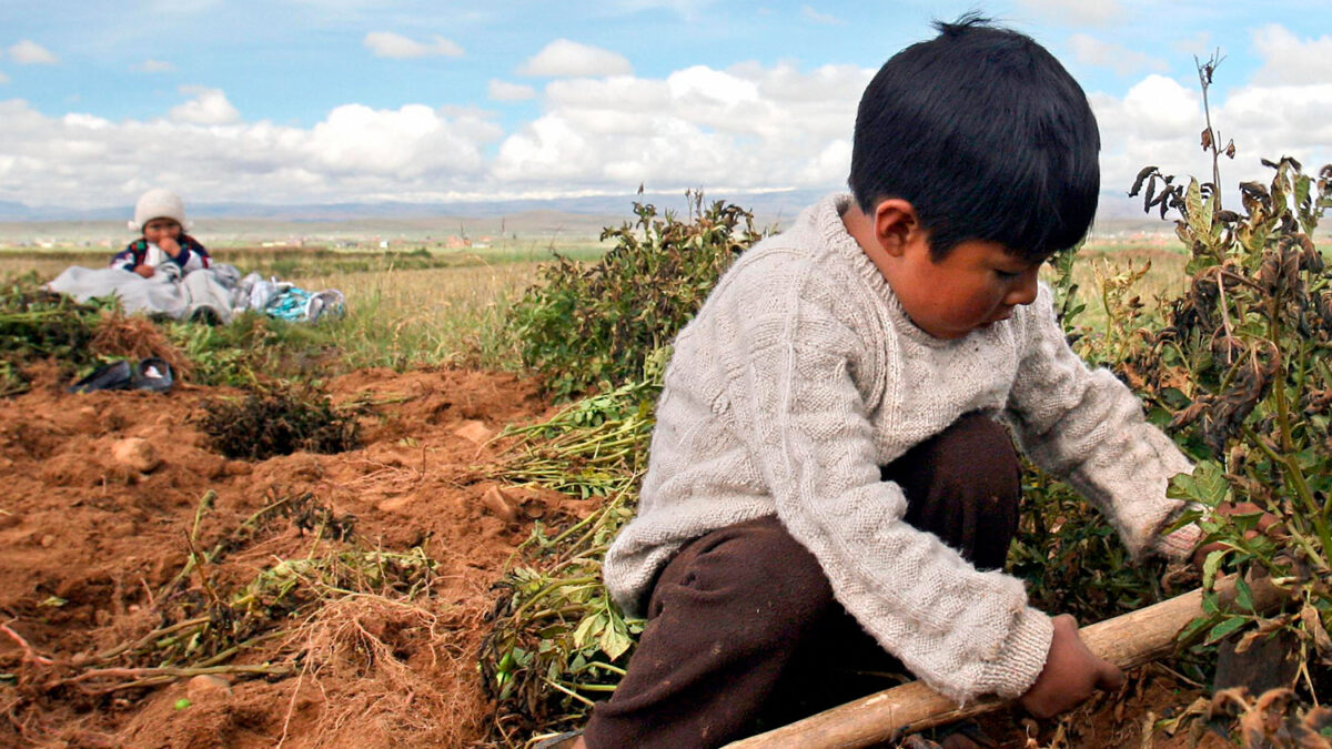 Bolivia sitúa la edad mínima para el trabajo infantil en los 10 años