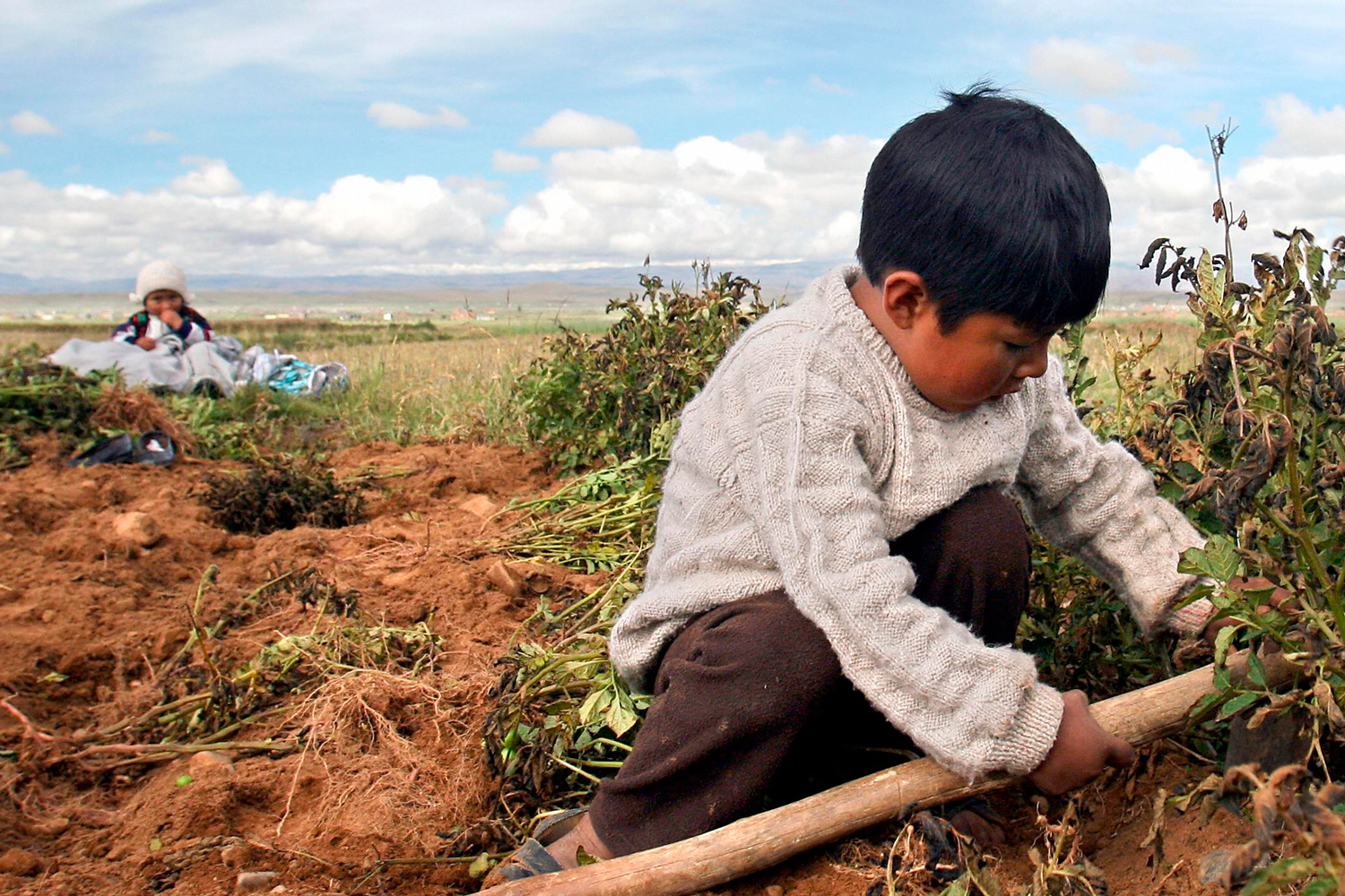 Bolivia sitúa la edad mínima para el trabajo infantil en los 10 años
