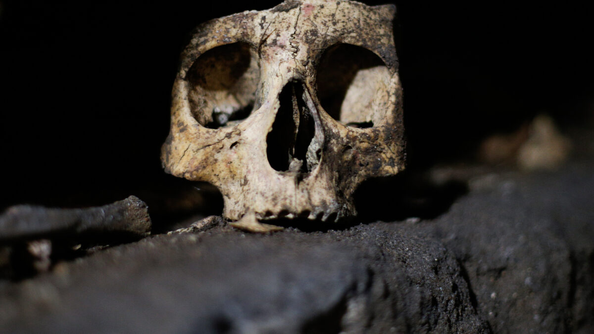 La cara masculina, modelada a puñetazos prehistóricos