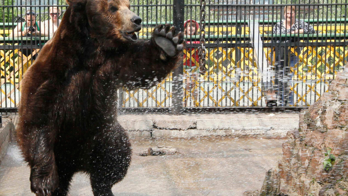 En Siberia, a temperaturas de 30 grados