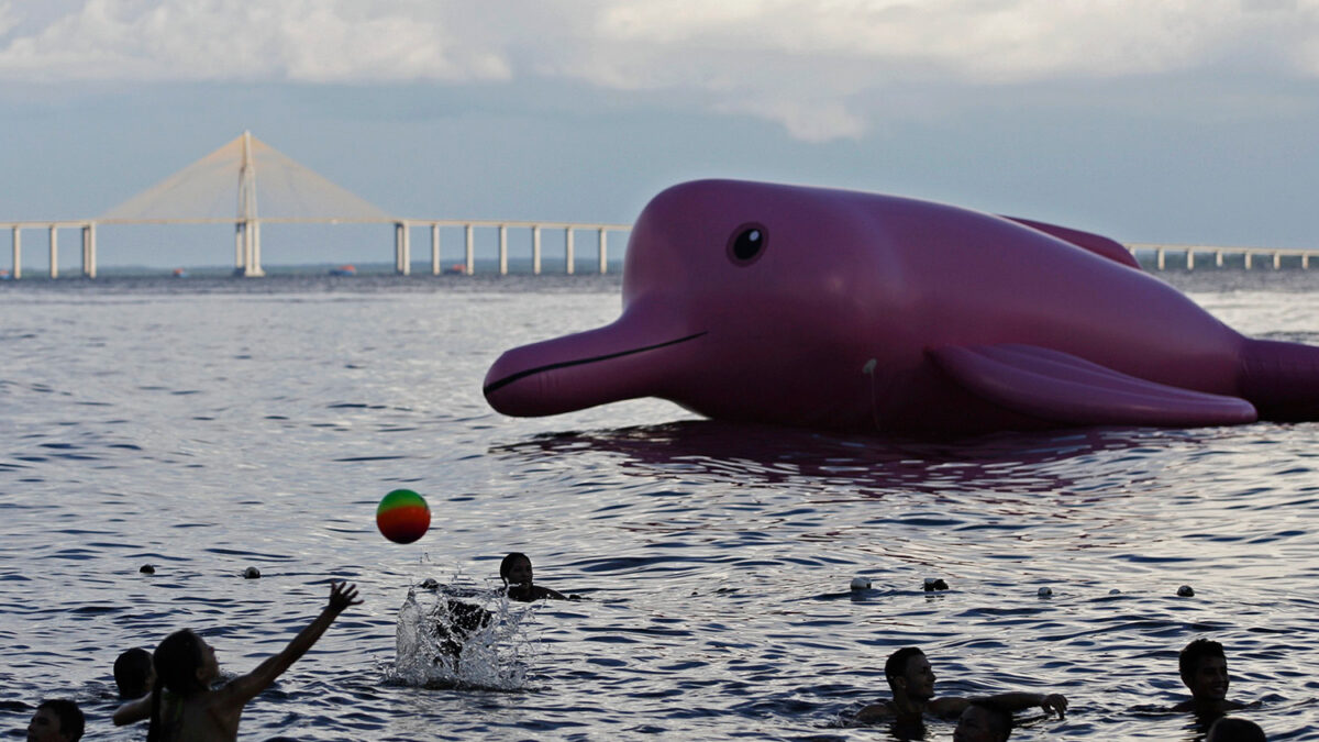 Brasil lucha contra la pesca furtiva de delfines