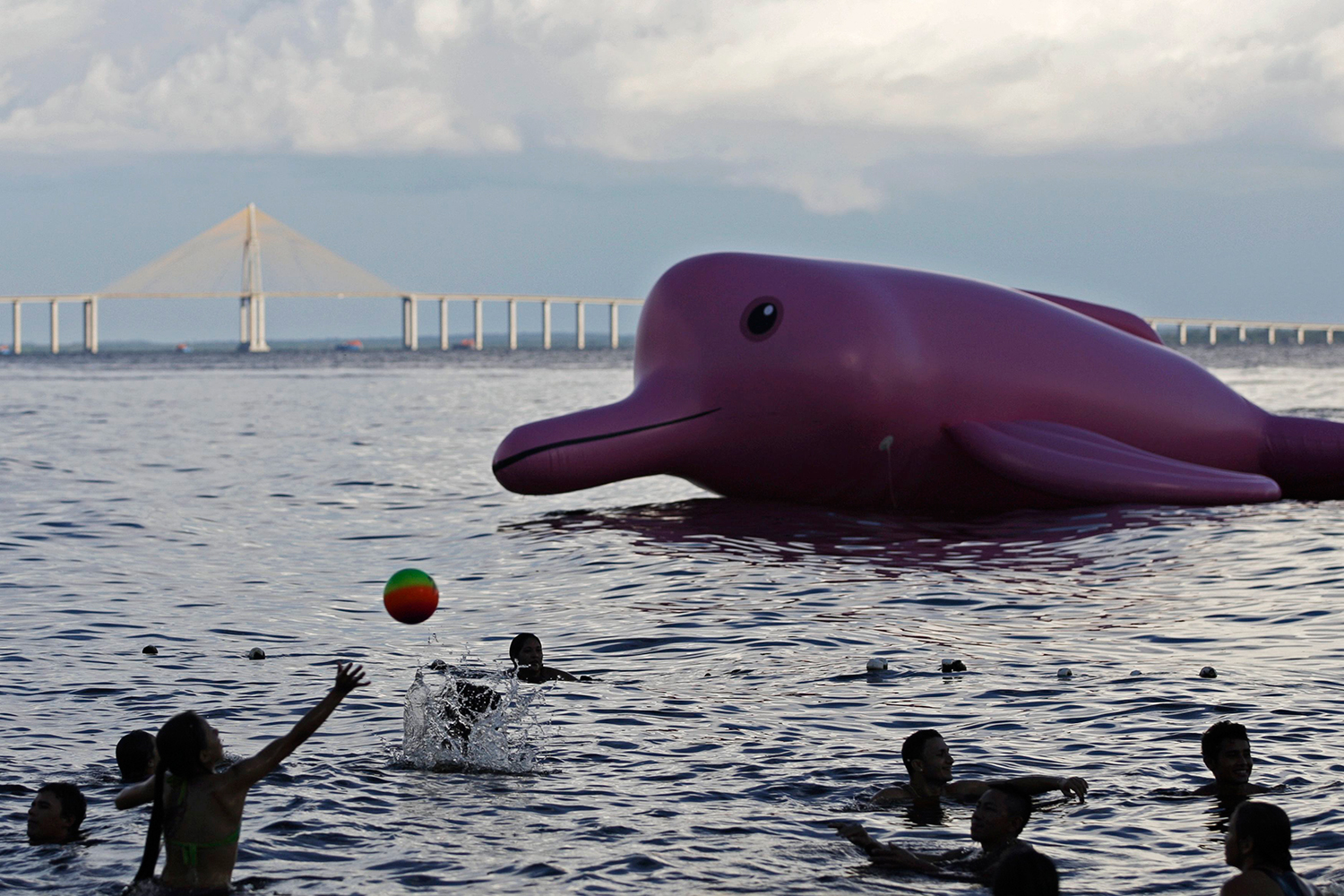 Brasil lucha contra la pesca furtiva de delfines