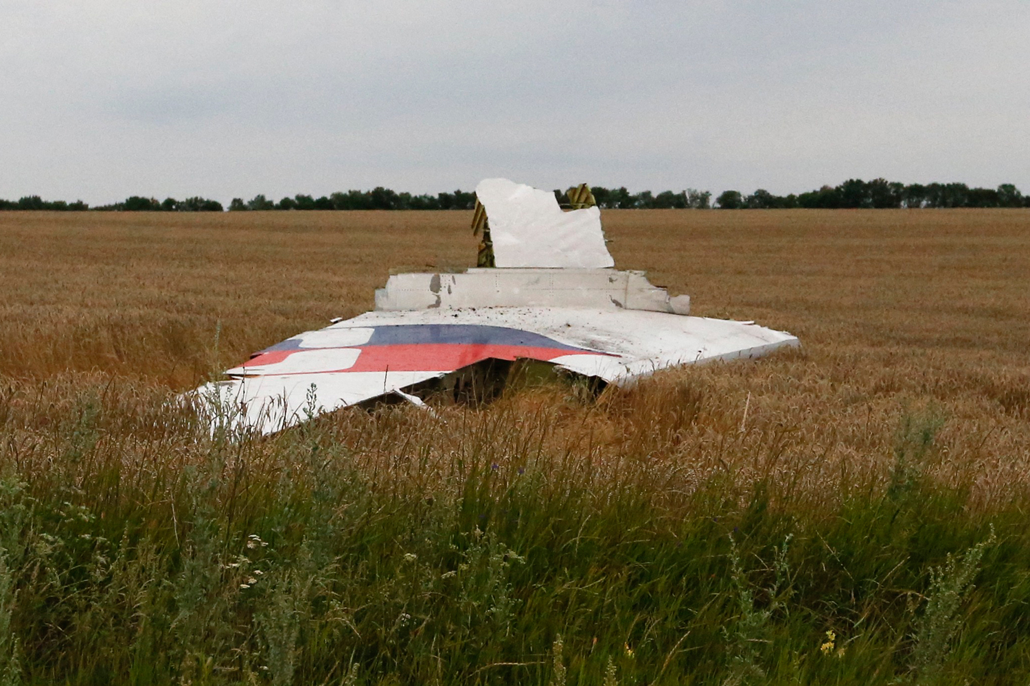 Vuelo derribado MH17, ¿operación de falsa bandera?