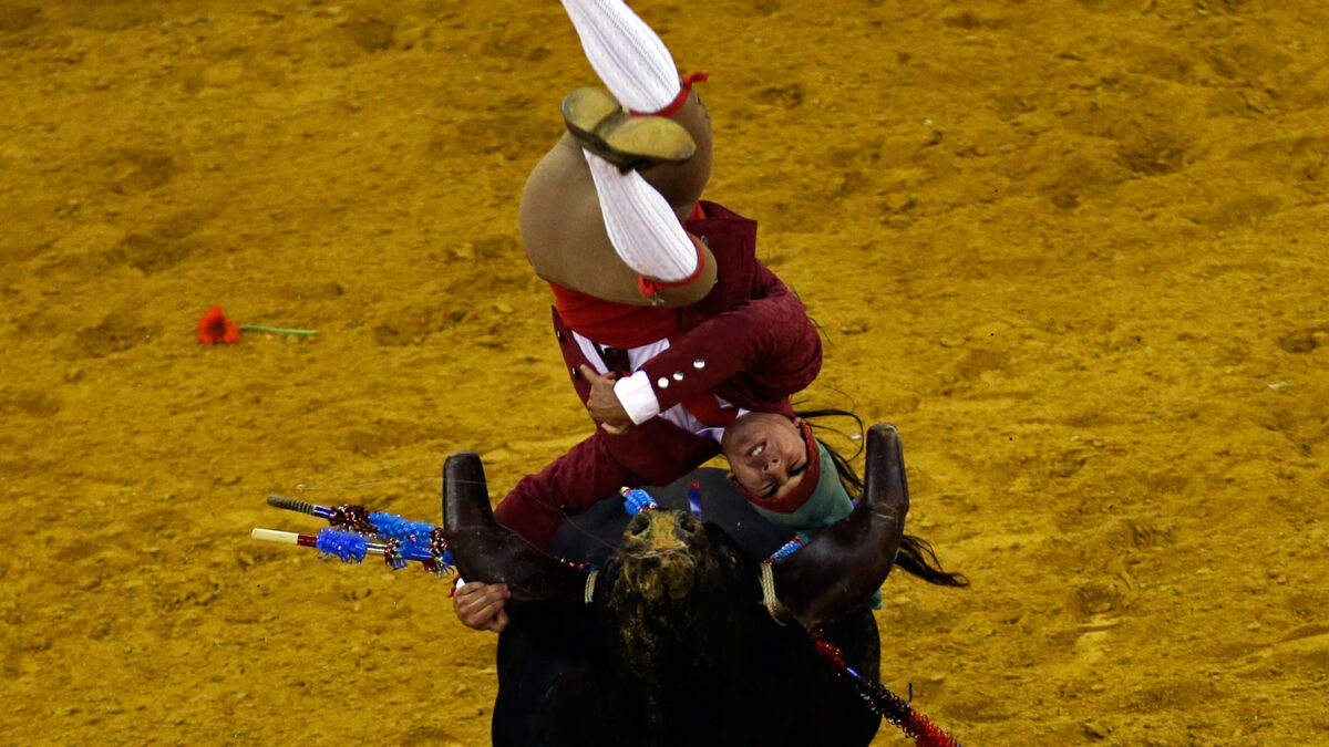 Los forcados, la versión lusa de la tradicional corrida de toros