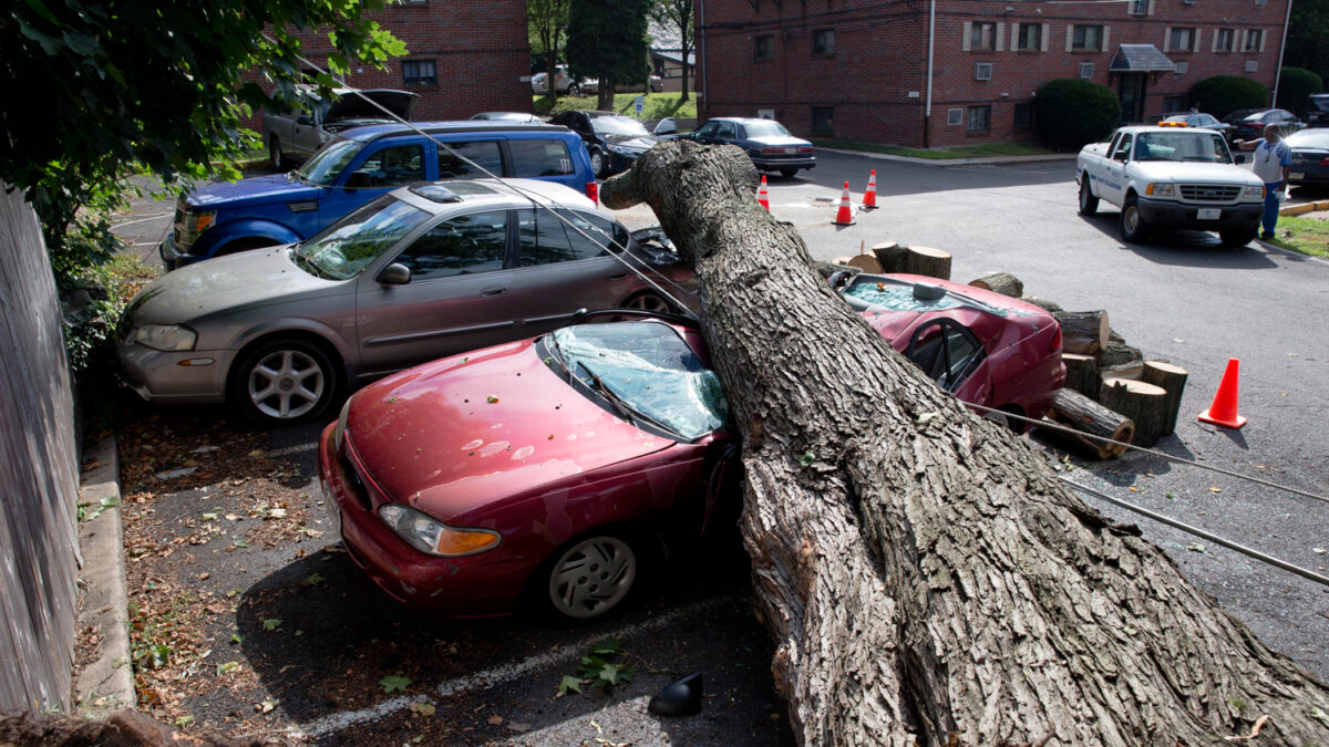 Cerca de 228.000 hogares y negocios sin electricidad por las fuertes tormentas en Filadelfia