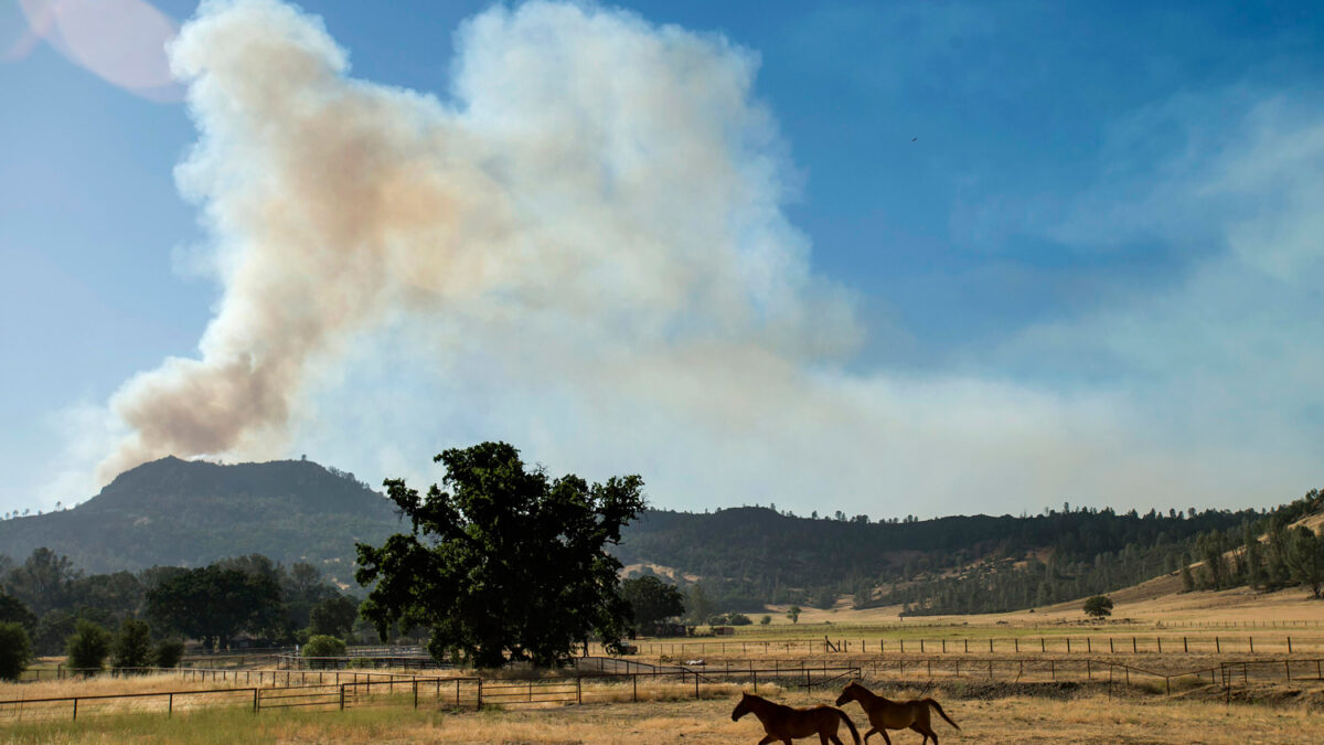 Las llamas devoran 4.000 hectáres en el condado de Napa, California