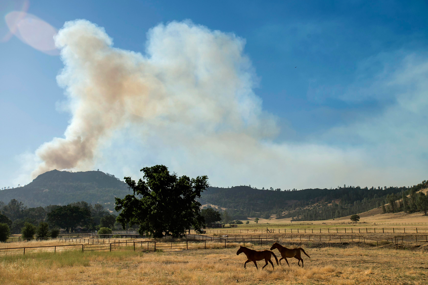 Las llamas devoran 4.000 hectáres en el condado de Napa, California