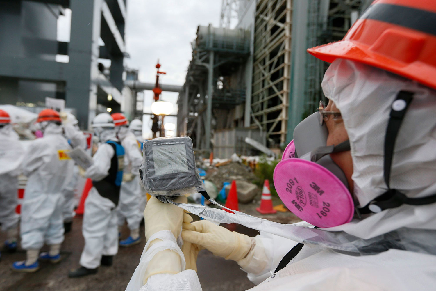 La limpieza de Fukushima ahora contamina también el arroz