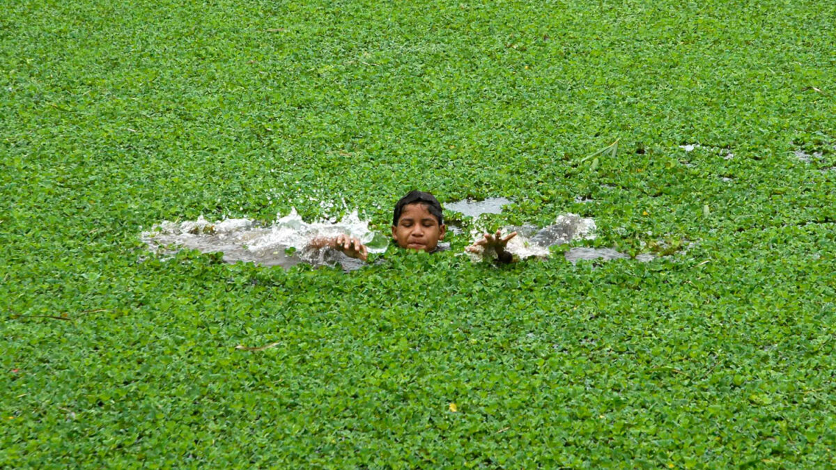 Las lluvias monzónicas dan respiro a los agricultores indios