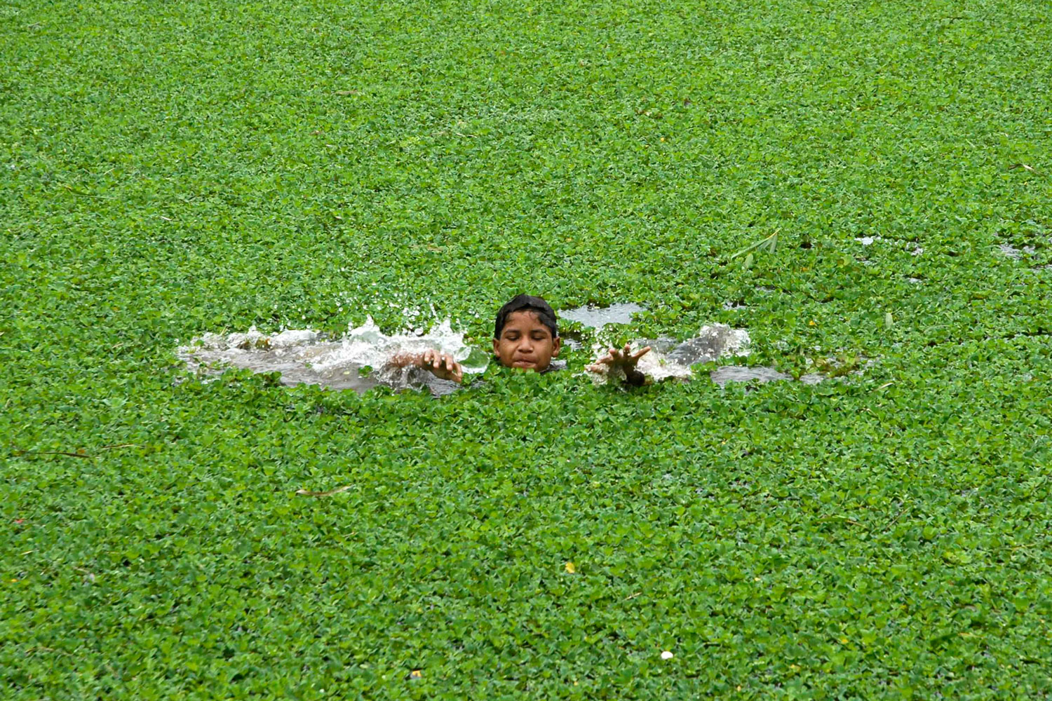 Las lluvias monzónicas dan respiro a los agricultores indios