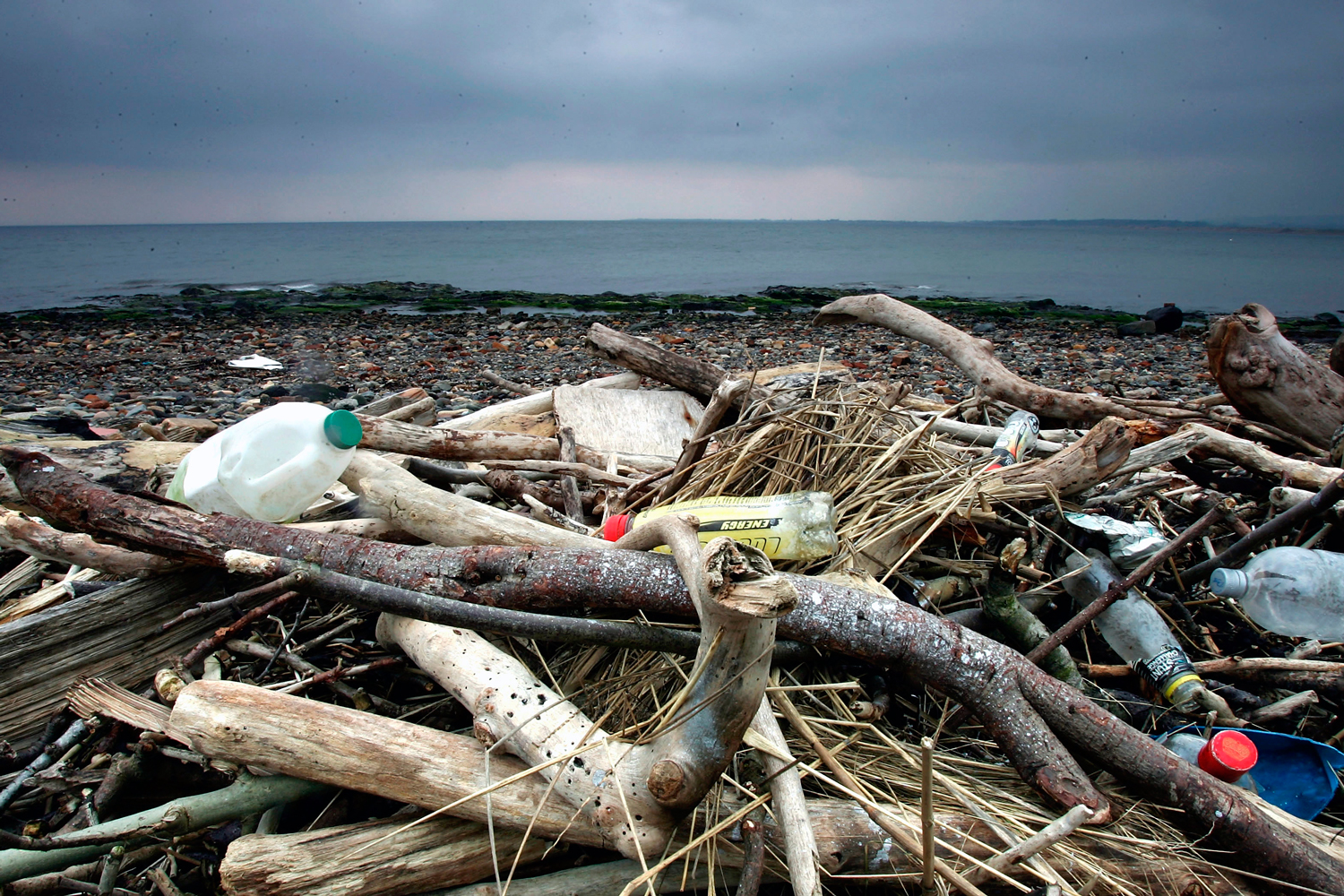 Grandes acumulaciones de plástico se extienden por todos los océanos