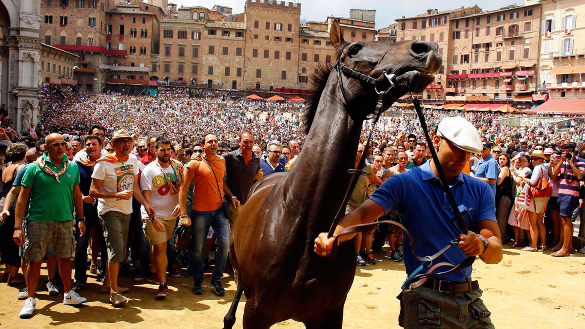 Diez corredores luchan por conquistar el palio contra la bravura de los caballos de la selva