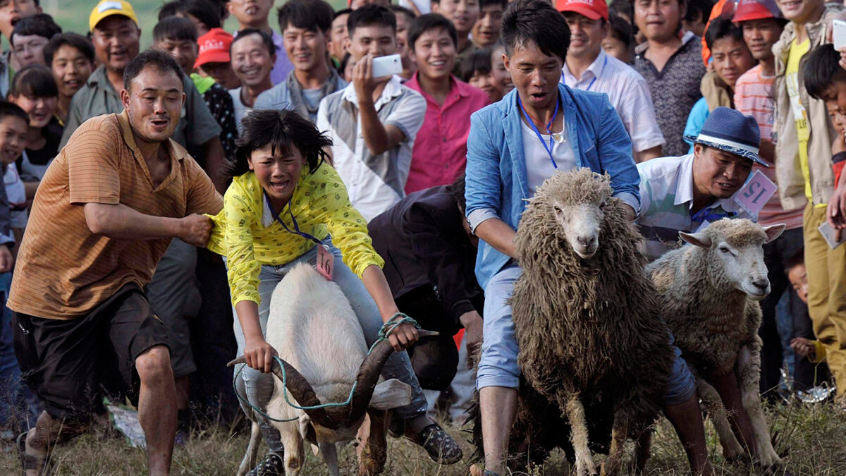 Carrera de cabras y ovejas en Fengshan