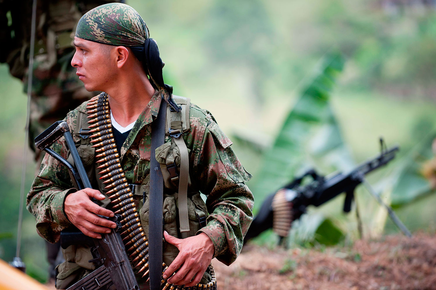 Los miembros de las FARC podrán ocupar cargos públicos una vez firmado el acuerdo de paz