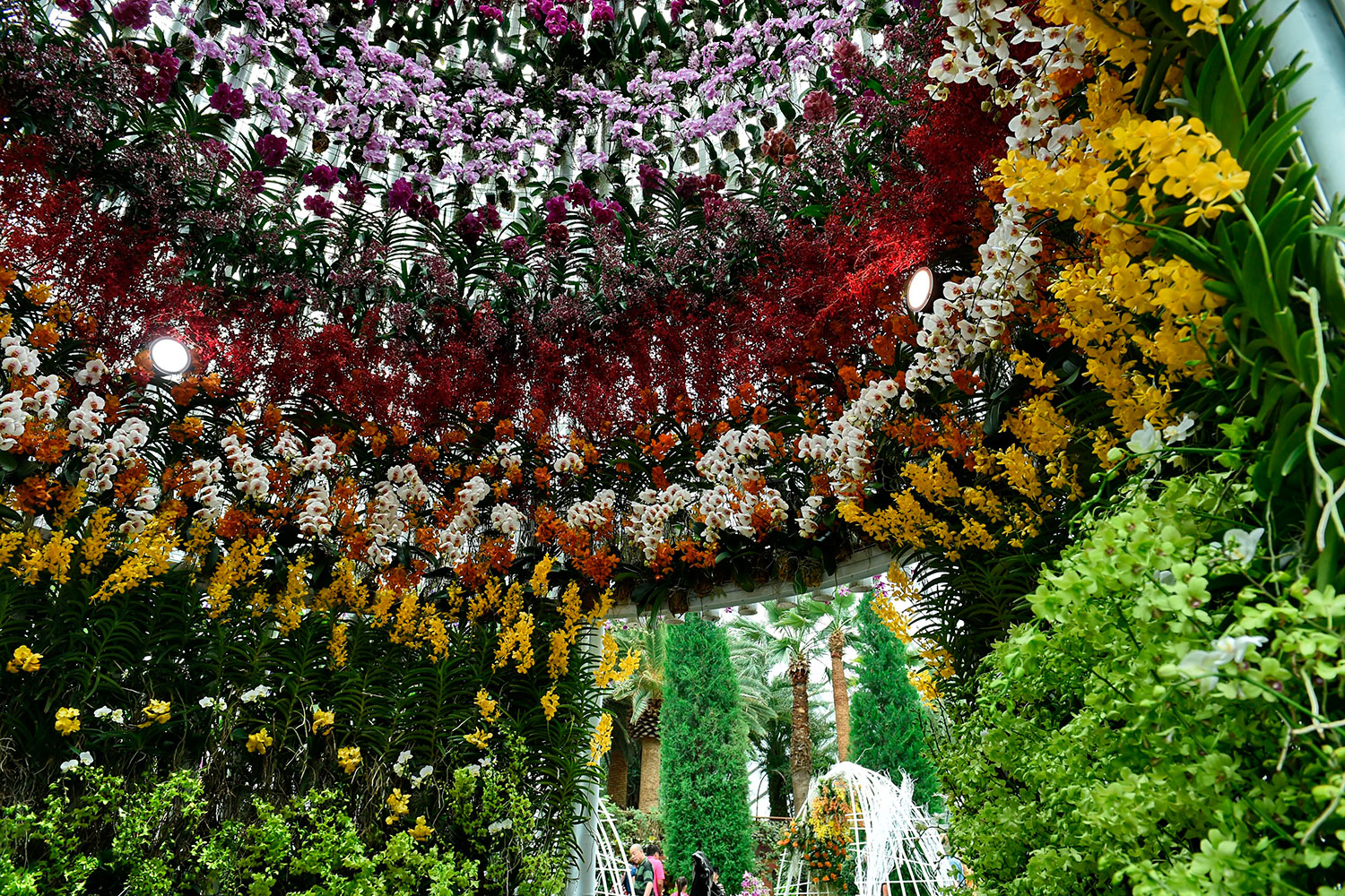 18.000 orquídeas se alzan con el galardón del Festival del Jardín de Singapur