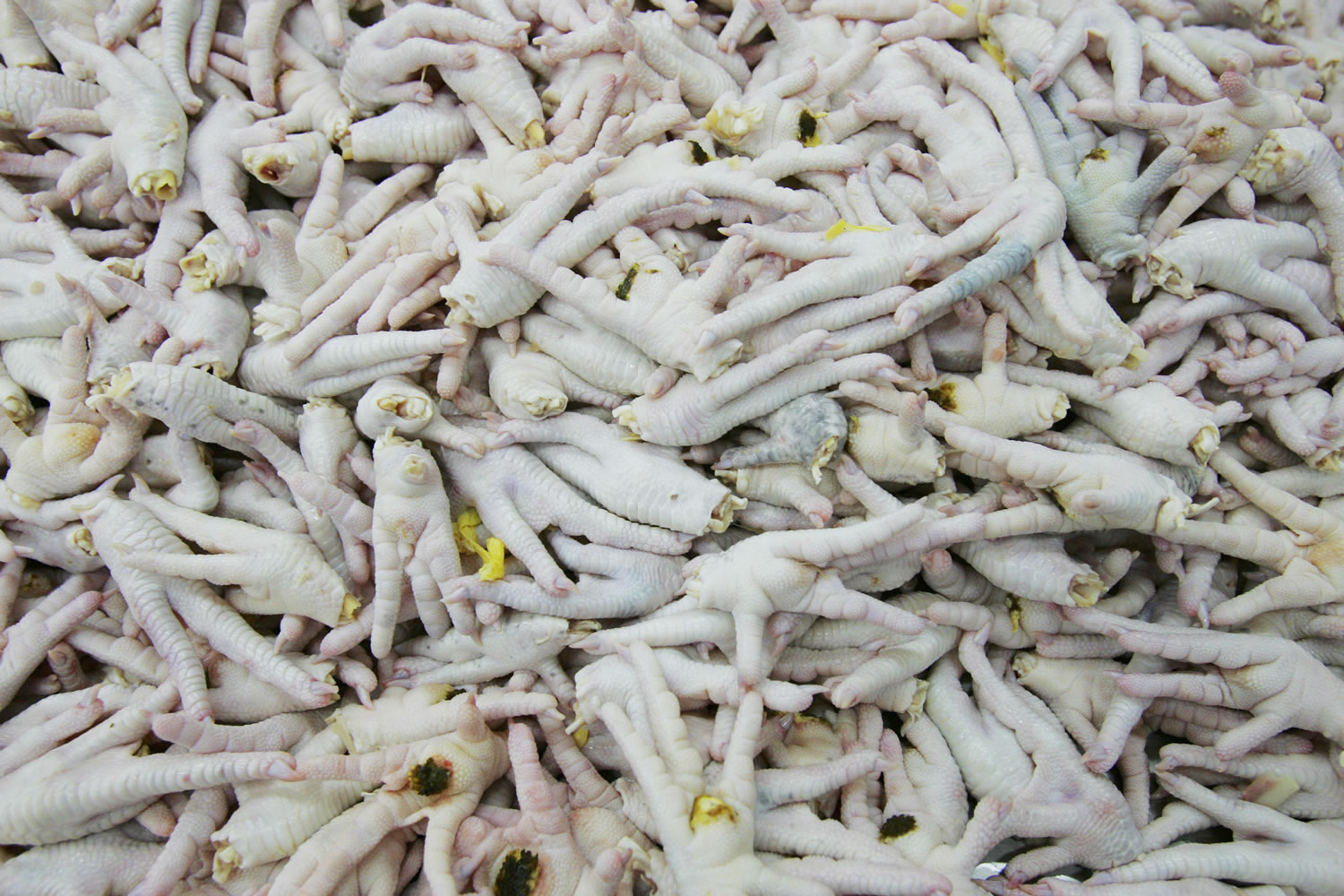 Crisis en el aperitivo chino de patas de pollo: 30.000 toneladas contaminadas y 38 detenidos