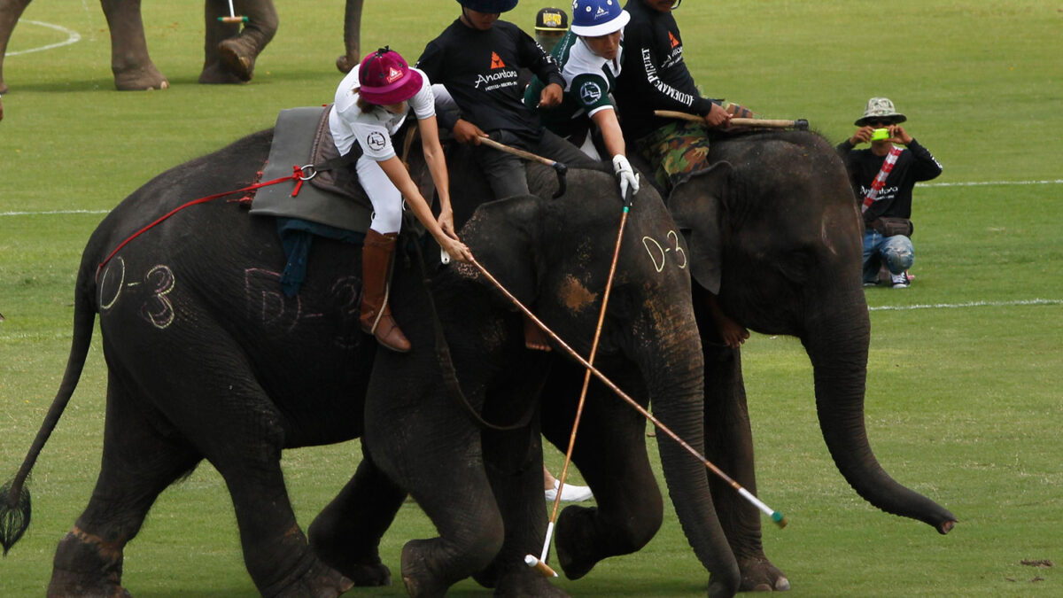 ¡A por el balón sobre el elefante!