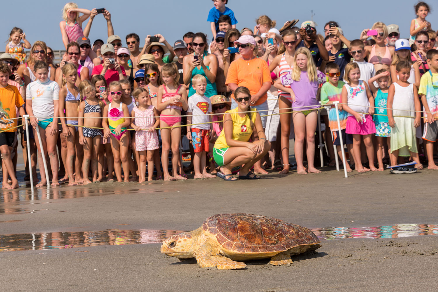 La tortuga Mitchell regresa al océano con sus compañeras de rehabilitación