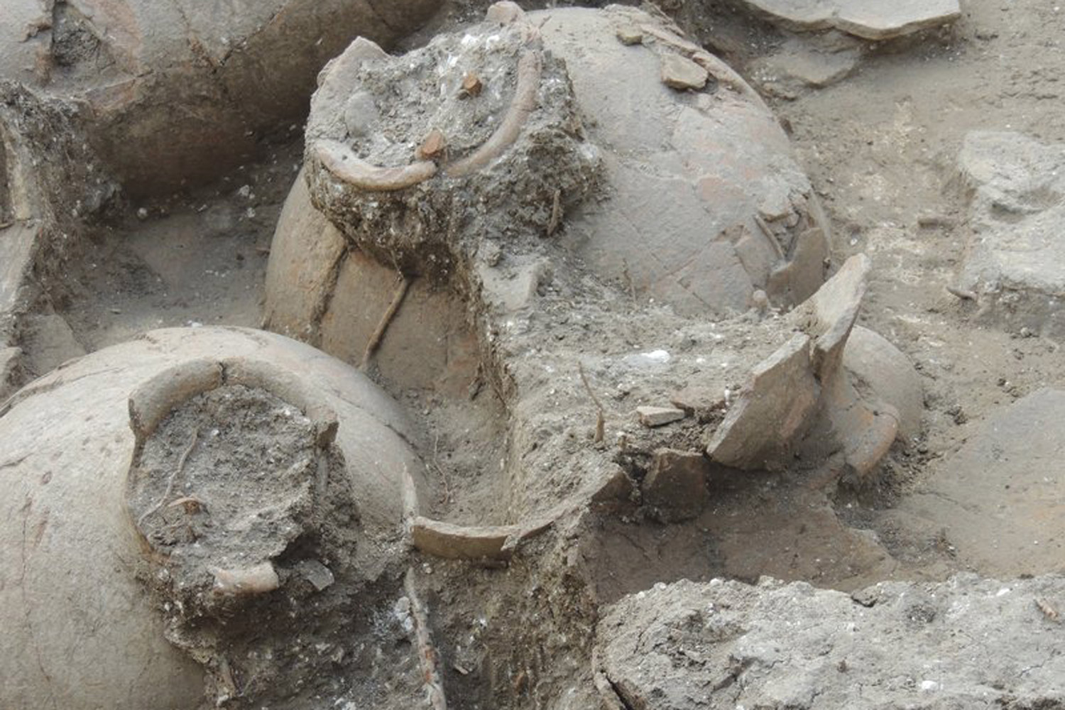 Descubren una bodega de vino de más de 3.500 años en Israel