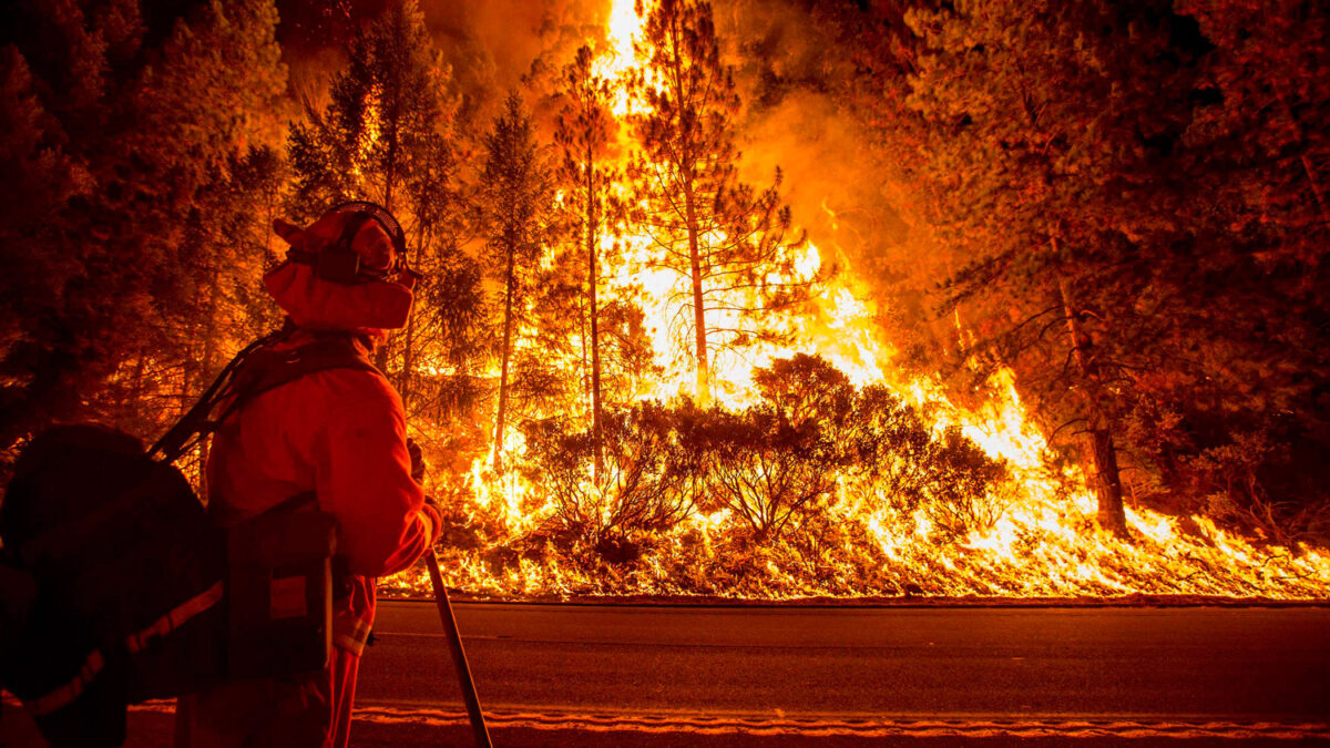 La oleada de incendios en California ha calcinado 5.000 hectáreas