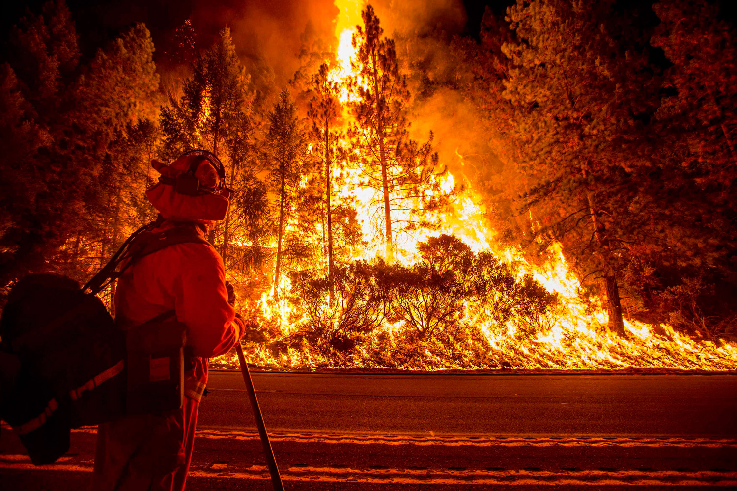 La oleada de incendios en California ha calcinado 5.000 hectáreas