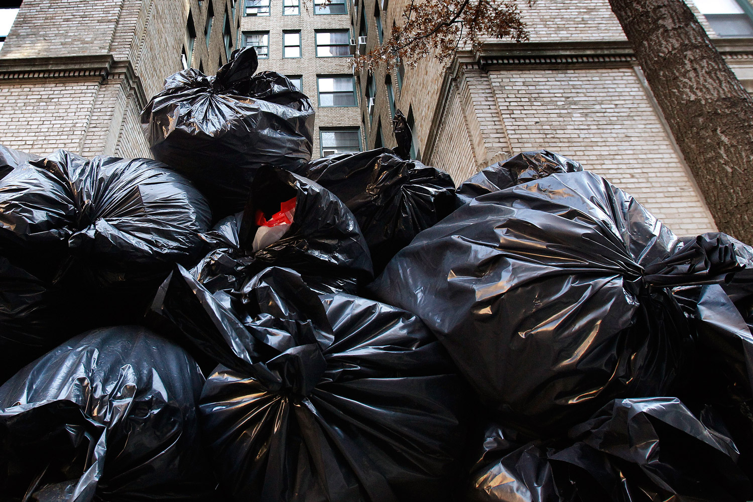 En Seattle, generar más de un 10% de residuos orgánicos de basura tiene multa
