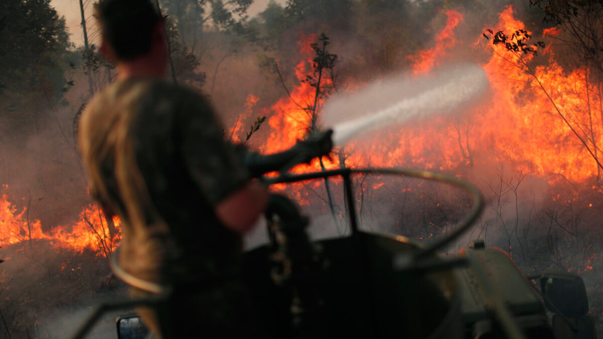 Numerosos incendios forestales en Brasilia.