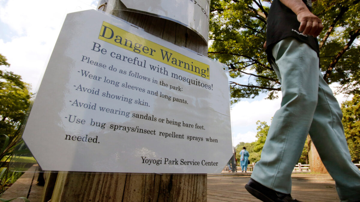 Un parque de Tokio, origen del primer brote de dengue en Japón en décadas