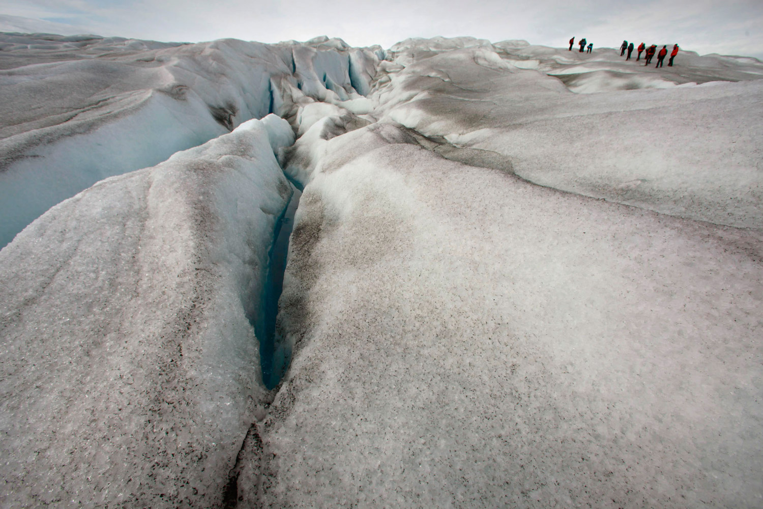 Estudian por qué el hielo de Groenlandia ha oscurecido un 5,6% en 2014