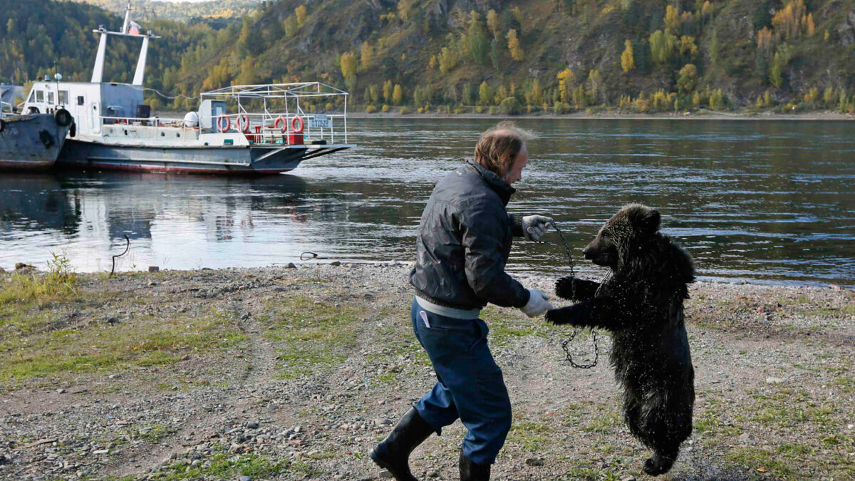 De mascota… un oso pardo