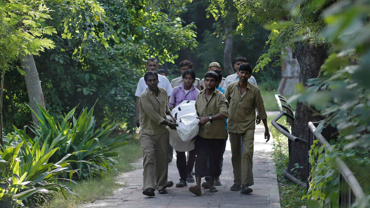 Un tigre blanco mata a un joven en un zoológico de India