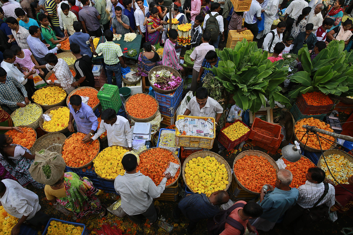 Comienza el festival de Diwali en India
