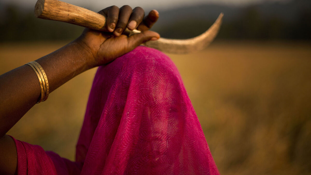 El arroz en la India