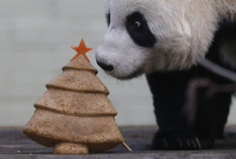 Cena de Navidad