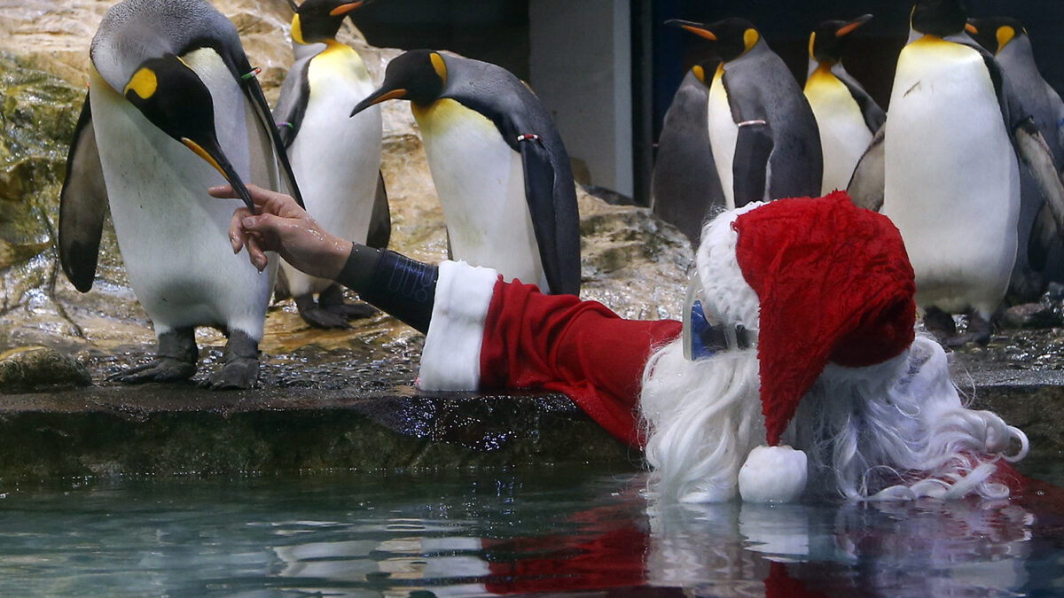 Como estar en el Polo Norte.