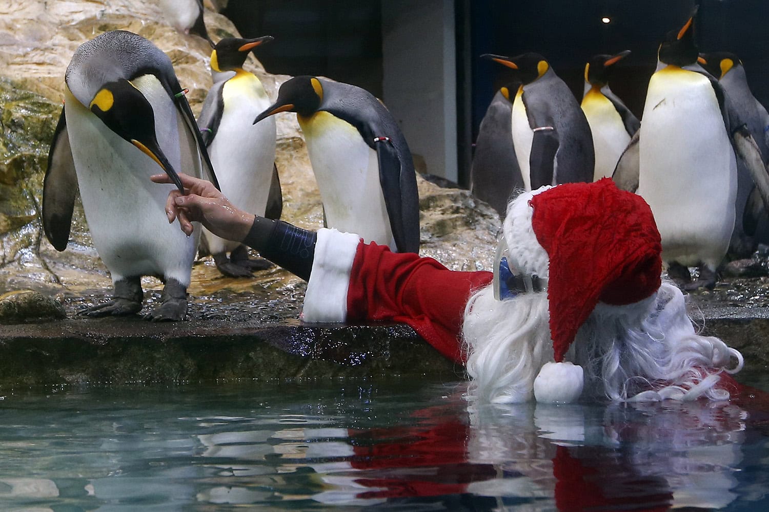 Como estar en el Polo Norte.