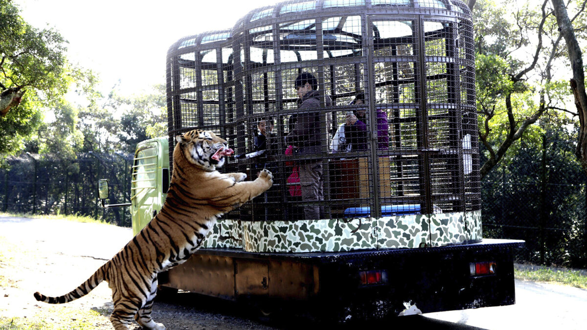 Un zoo al revés