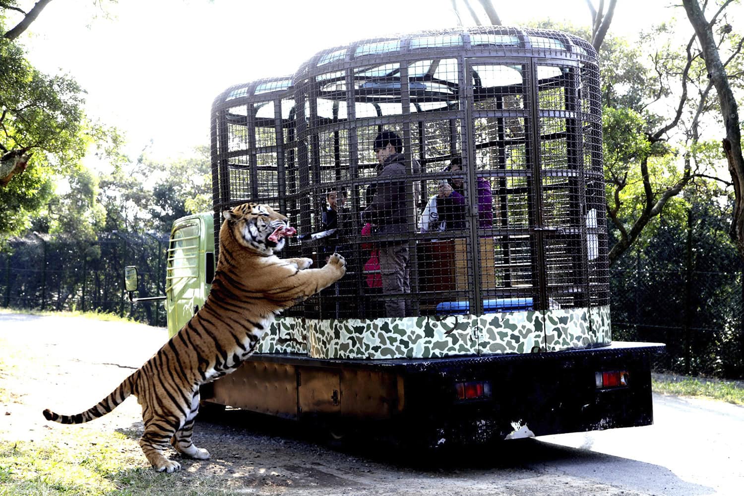 Un zoo al revés