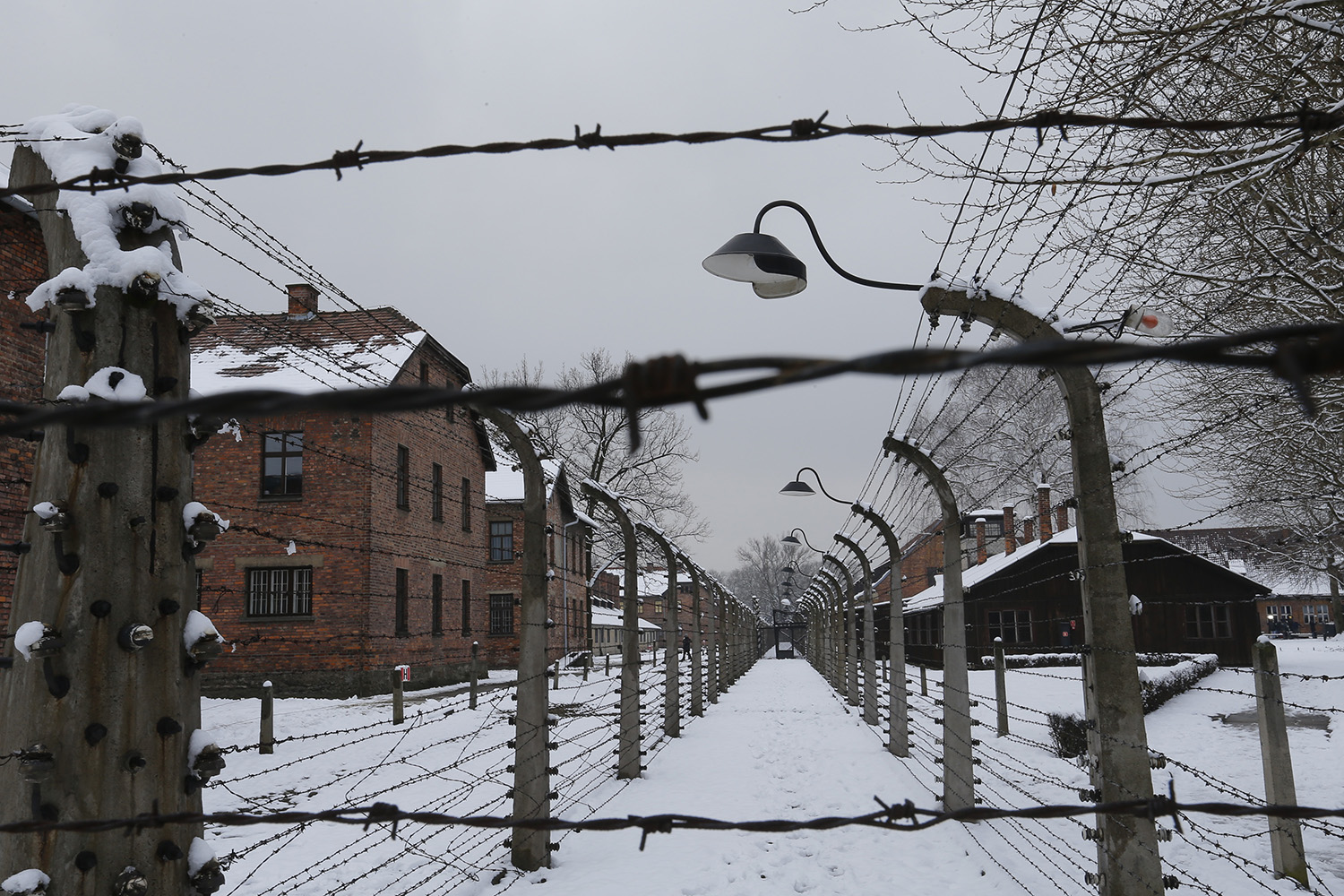 El martes inicia el juicio contra el Contable de Auschwitz