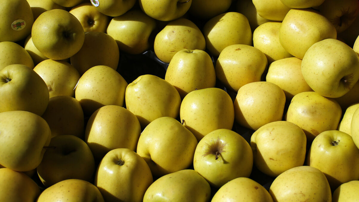 Una manzana al día no libra del médico, pero sí de la farmacia.