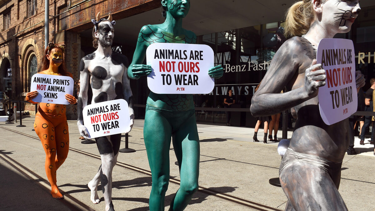 PETA luce sus trajes en la semana de la moda de Australia