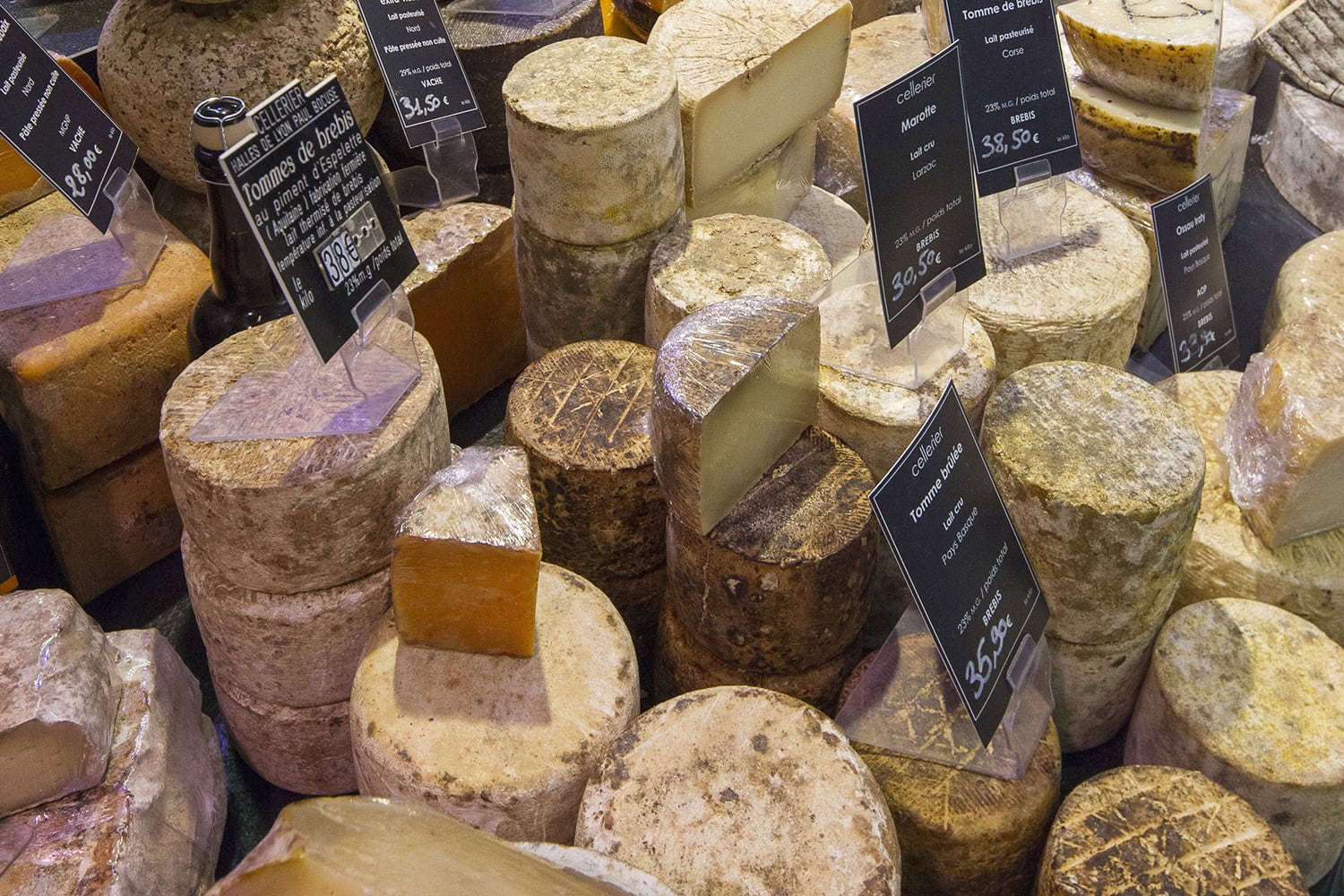 El secreto para una vida más larga y con mejor metabolismo: el queso