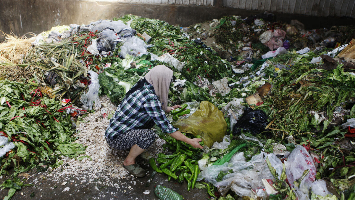 La otra cara del hambre: Un tercio de los alimentos del mundo se tiran a la basura