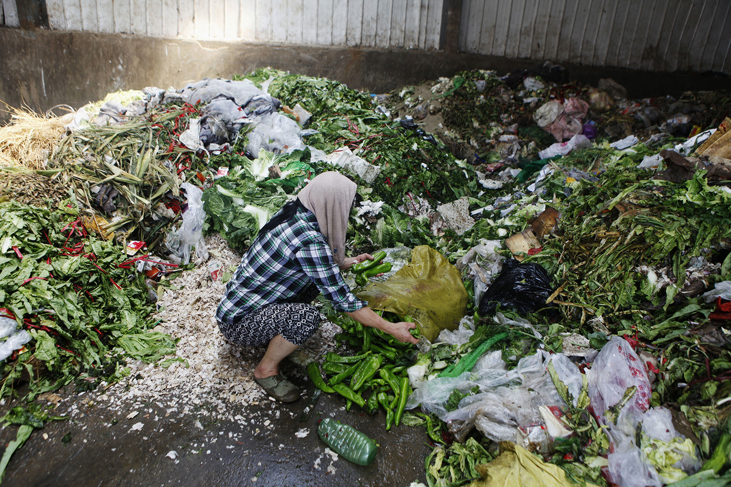 La otra cara del hambre: Un tercio de los alimentos del mundo se tiran a la basura