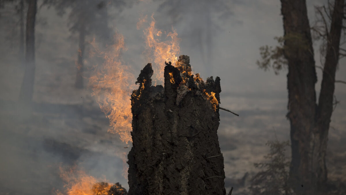 Arde el Parque Nacional de San Bernardino en California: solo el 15% del incendio bajo control