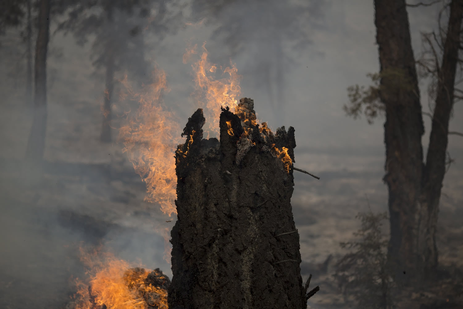 Arde el Parque Nacional de San Bernardino en California: solo el 15% del incendio bajo control