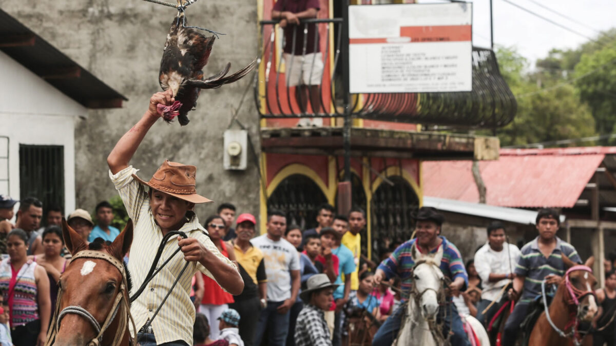 Un gallo vivo pierde la cabeza en homenaje a San Juan Bautista