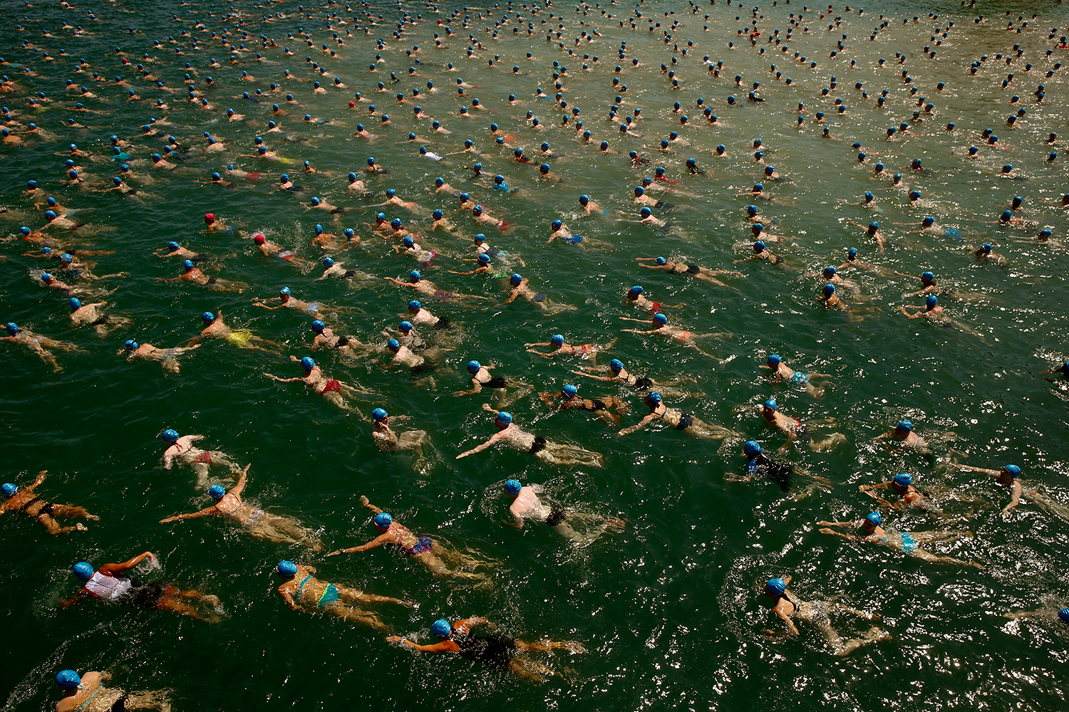 Miles de participantes compiten en la prueba de natación más famosa de Zúrich